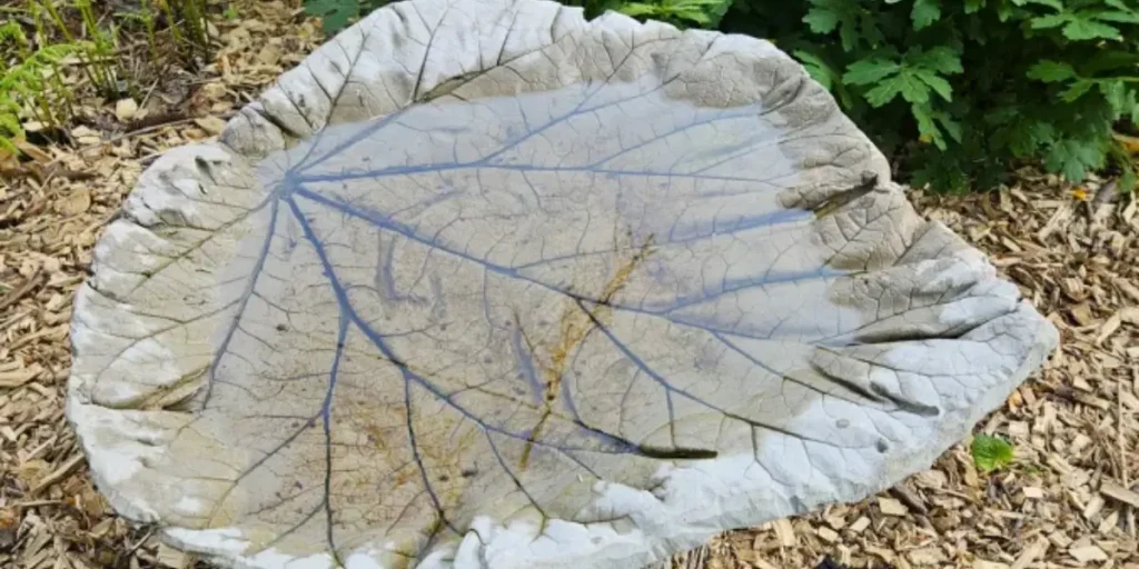 Concrete Leaf Mold Bird Bath