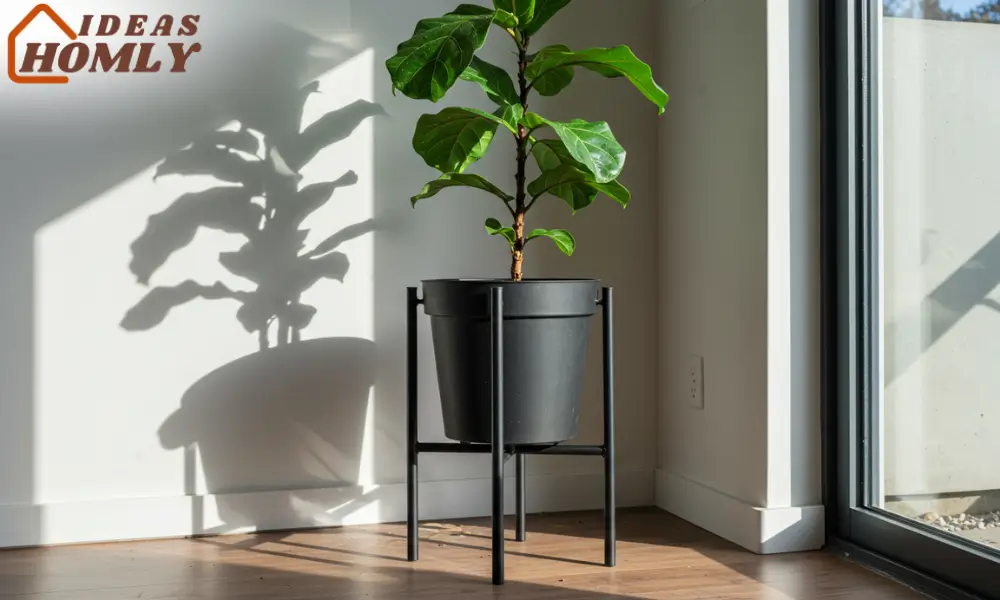 Contemporary Planter Stand In Sunroom