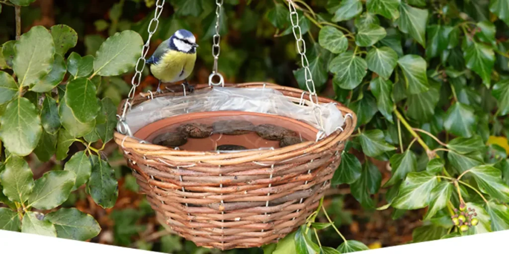 Hanging Basket Bird Bath