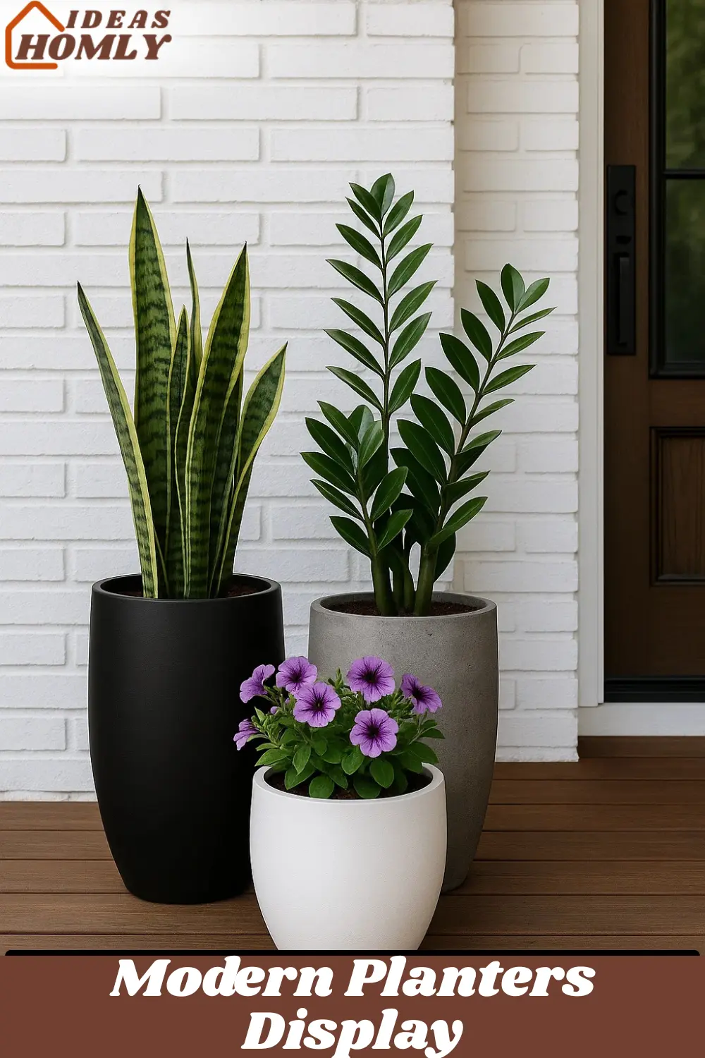 Modern Planters Display In Porch