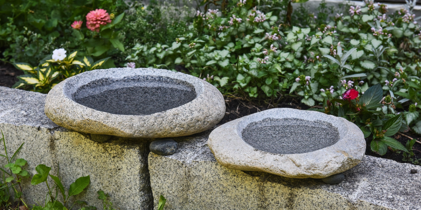 Stepping Stone Bird Bath