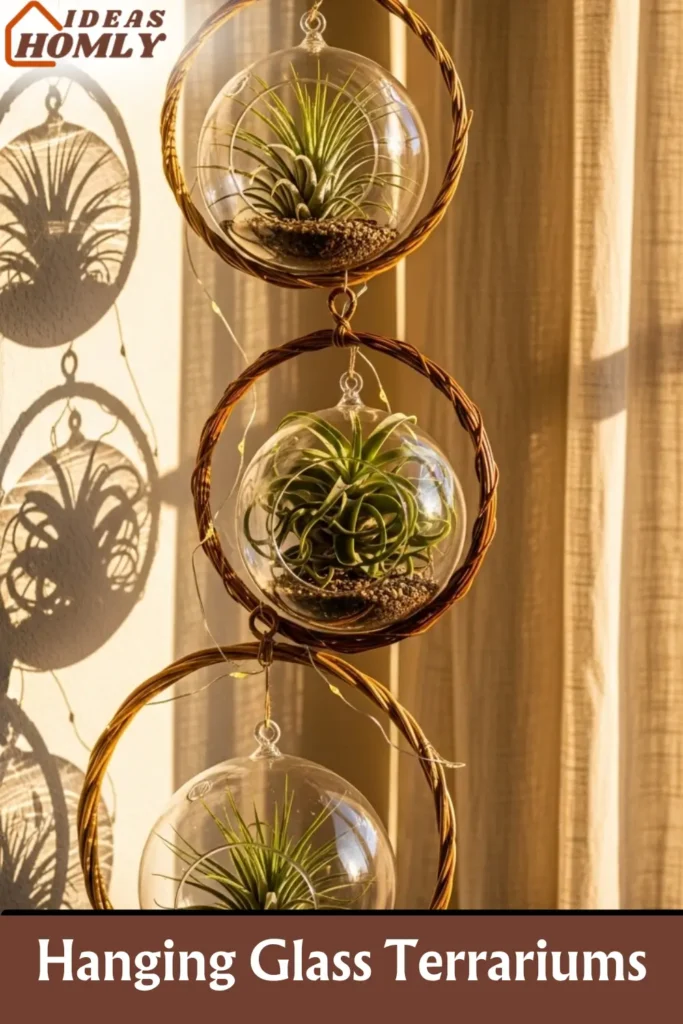 Hanging Glass Terrariums in Rattan Holders for Elegant Boho Lighting