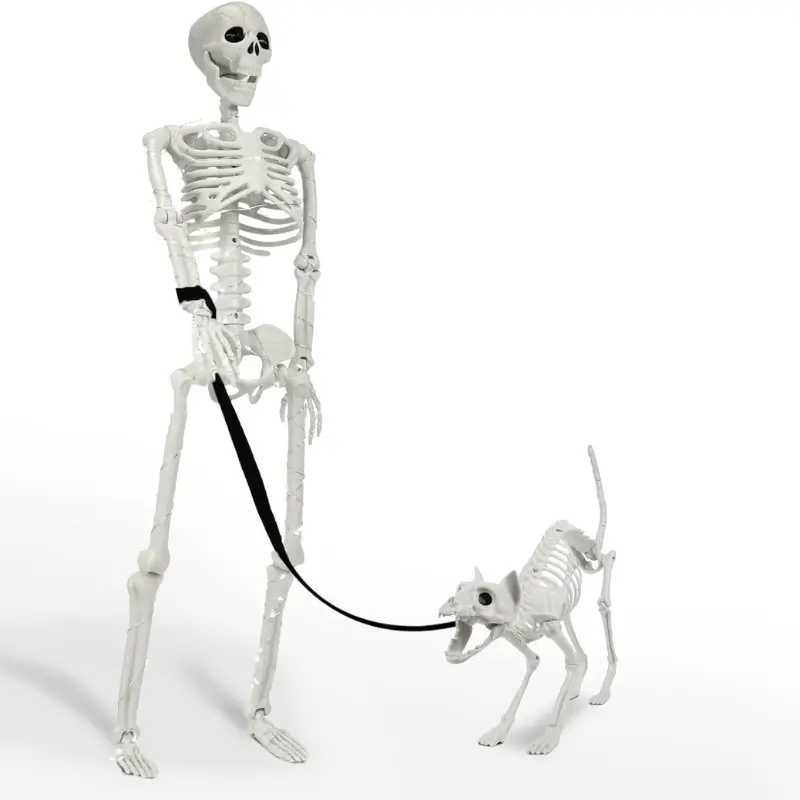 Human & Cat Skeletons Halloween Decorations