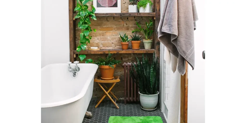 Add Plants for a Low Cost Refresh