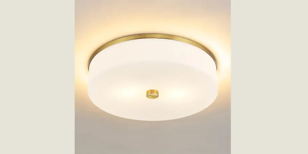 Flush-Mount Ceiling Light Fixtures