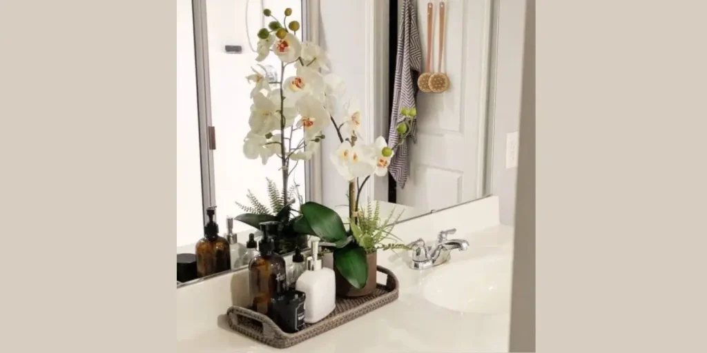 Greenery on the Vanity