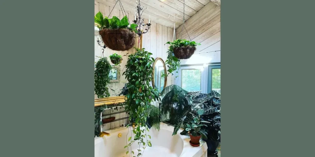 Hanging Ivy for Vertical Interest