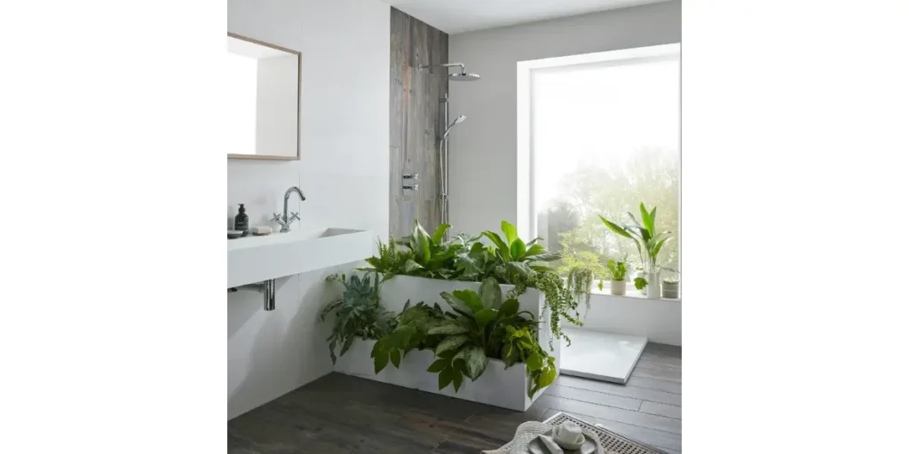 Use Plants for Affordable Decoration