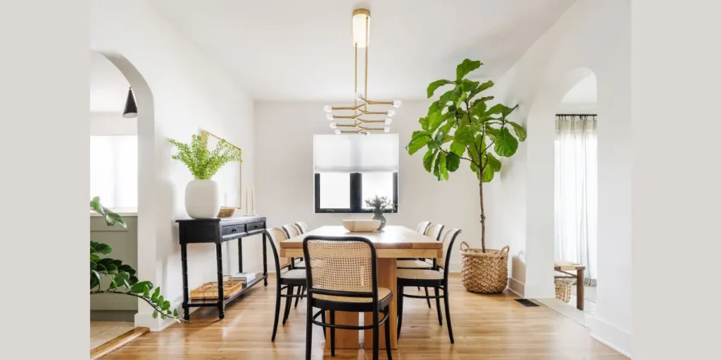 Warm Off White Elegance