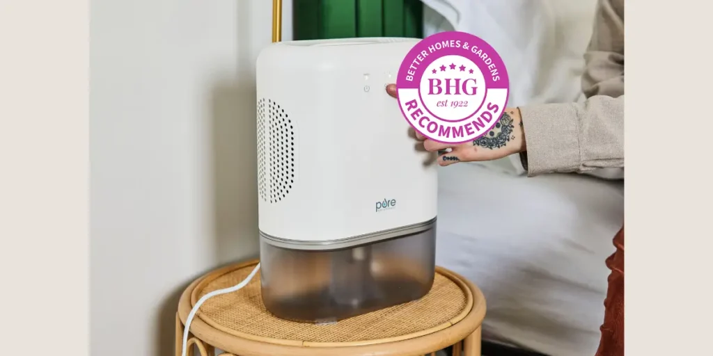 Bathroom Dehumidifiers