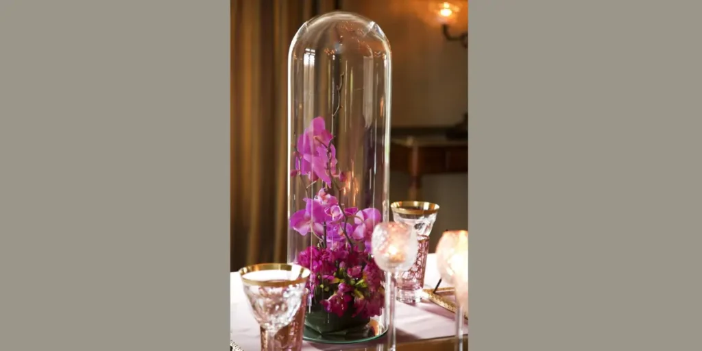 Glass Cloche Display