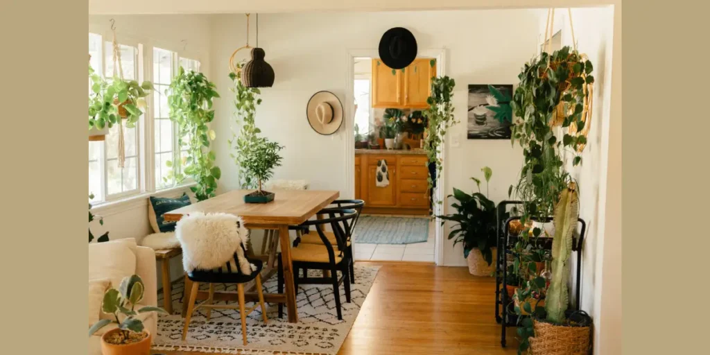 Greenery and Indoor Plants for Freshness
