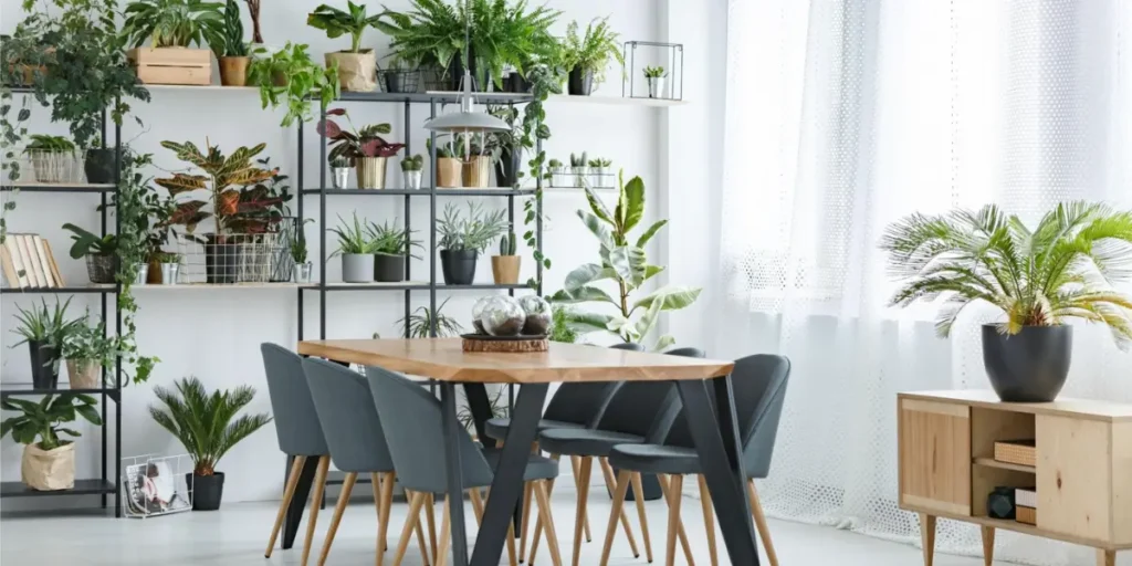 Indoor Greenery with Tropical Touch