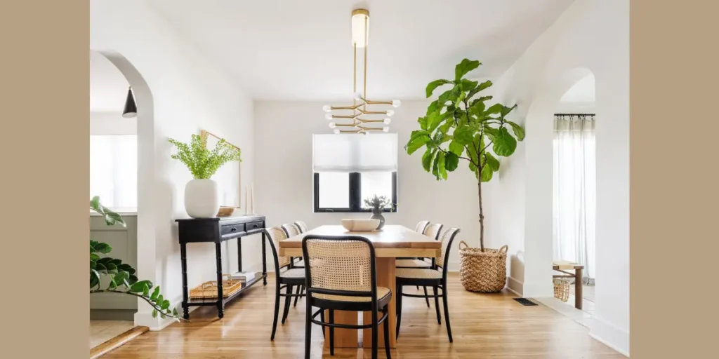 Light Neutral Color Palette