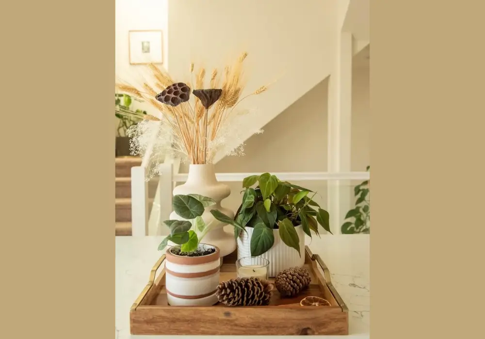 Decorative Tray Styling