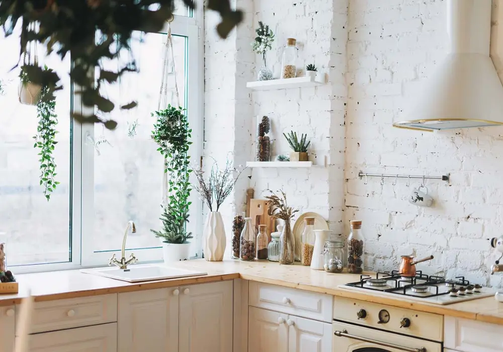 Eco-Friendly Kitchen Renovation