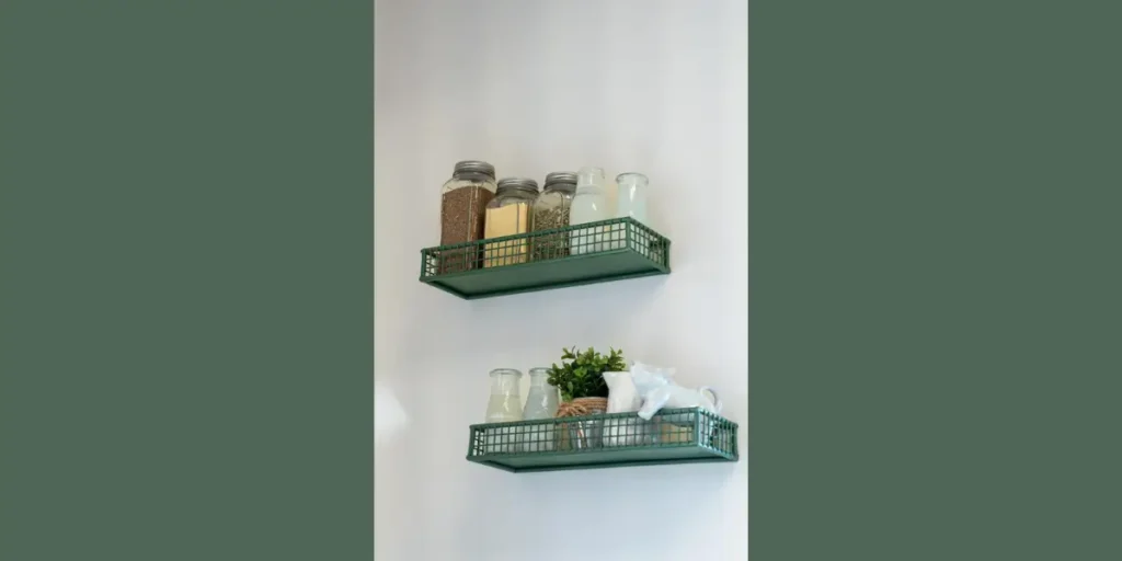 Floating Shelves with Decorative Plants