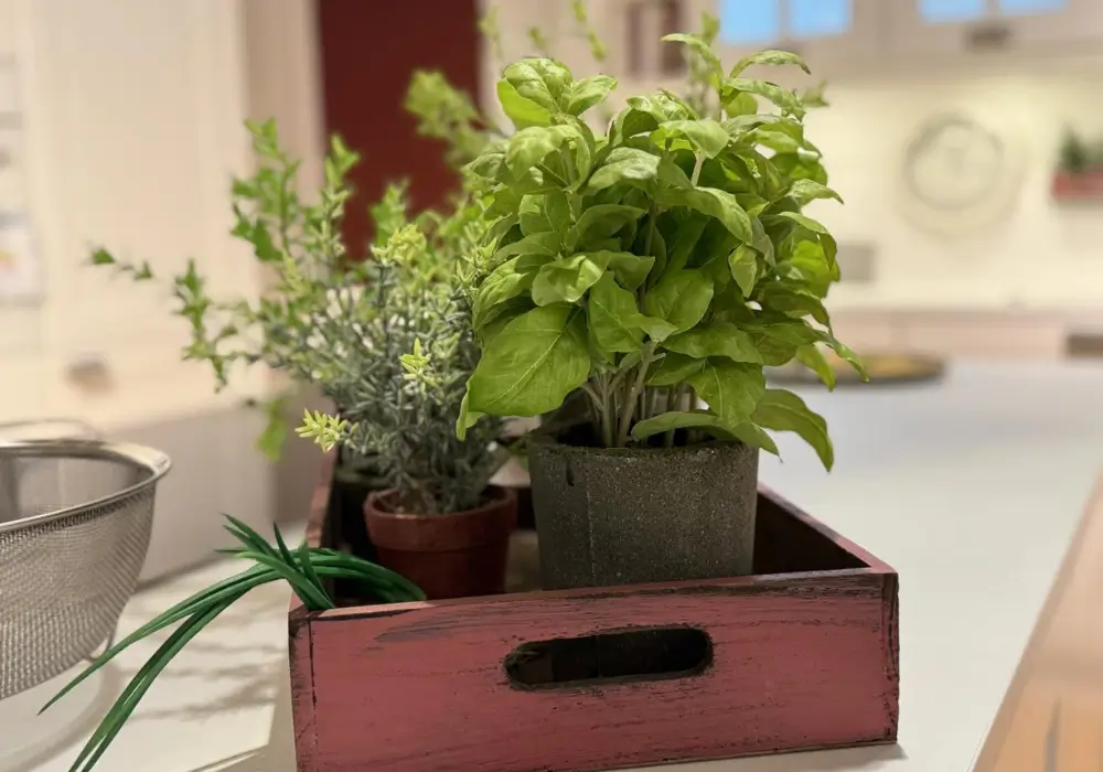 Fresh Herb Pots for Natural Decor