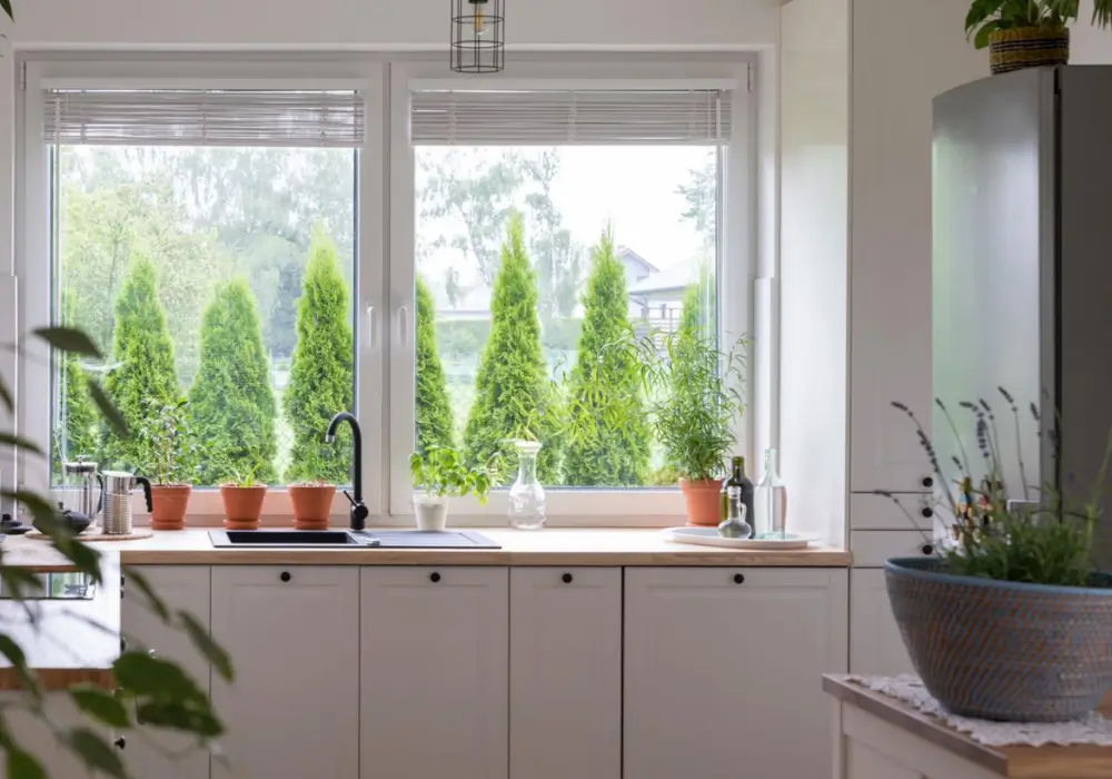 Garden Kitchen Window