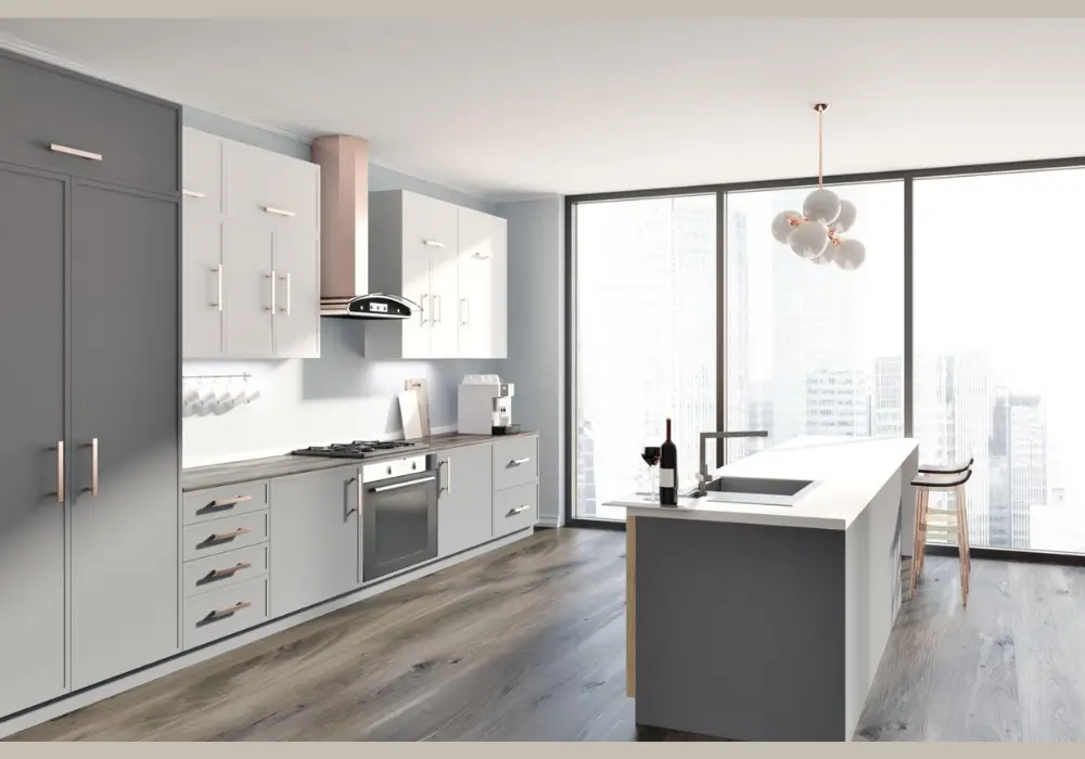 Gray and White Kitchen Color Scheme