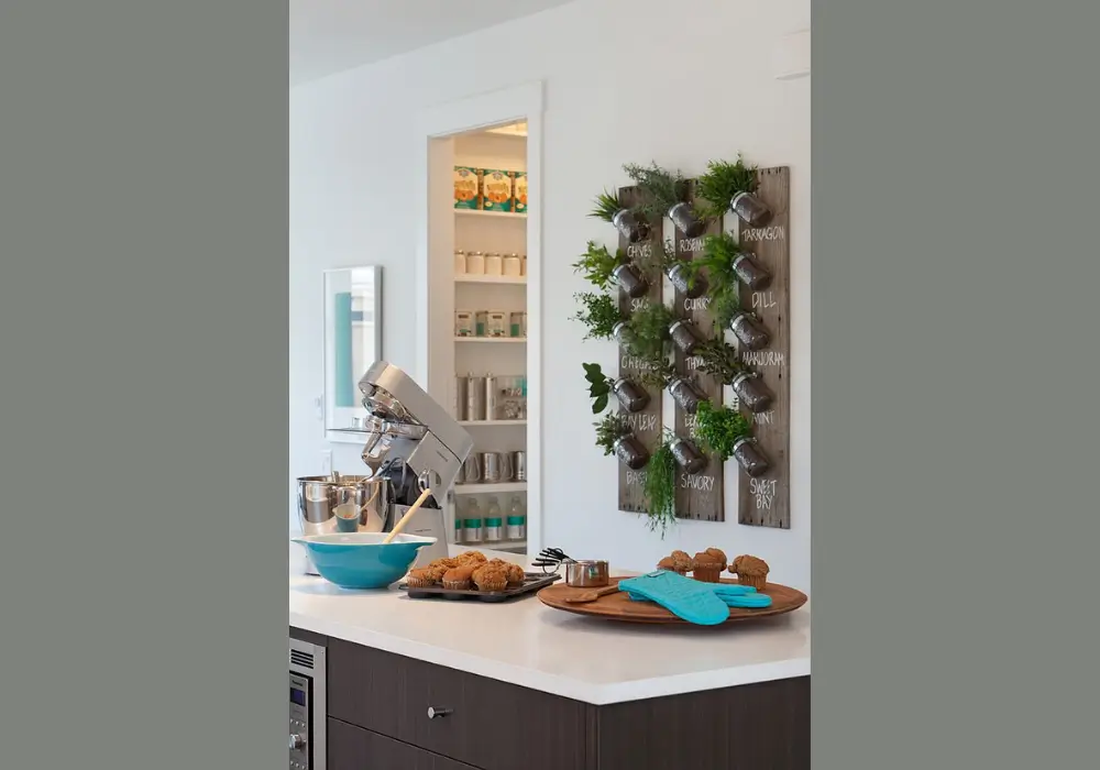 Indoor Herb Garden