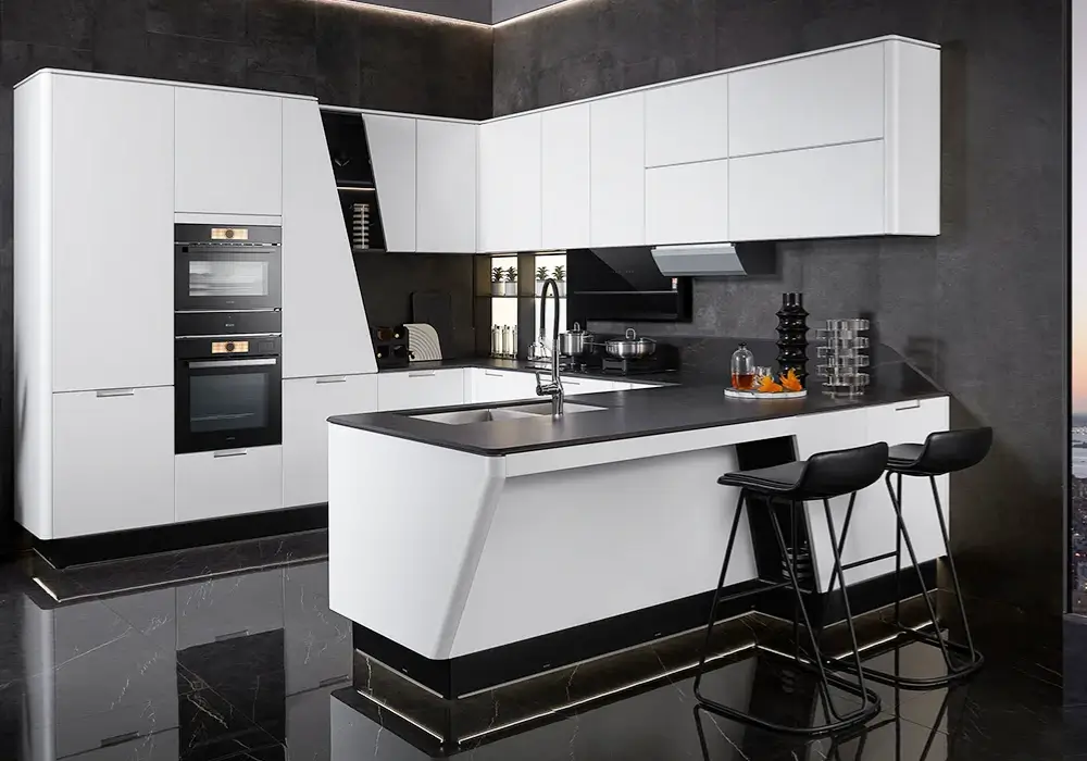 Modern Minimalist Kitchen Renovation