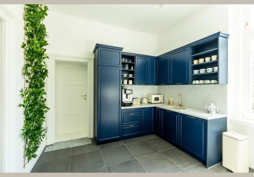 Navy Blue and Gold Kitchen Color Scheme