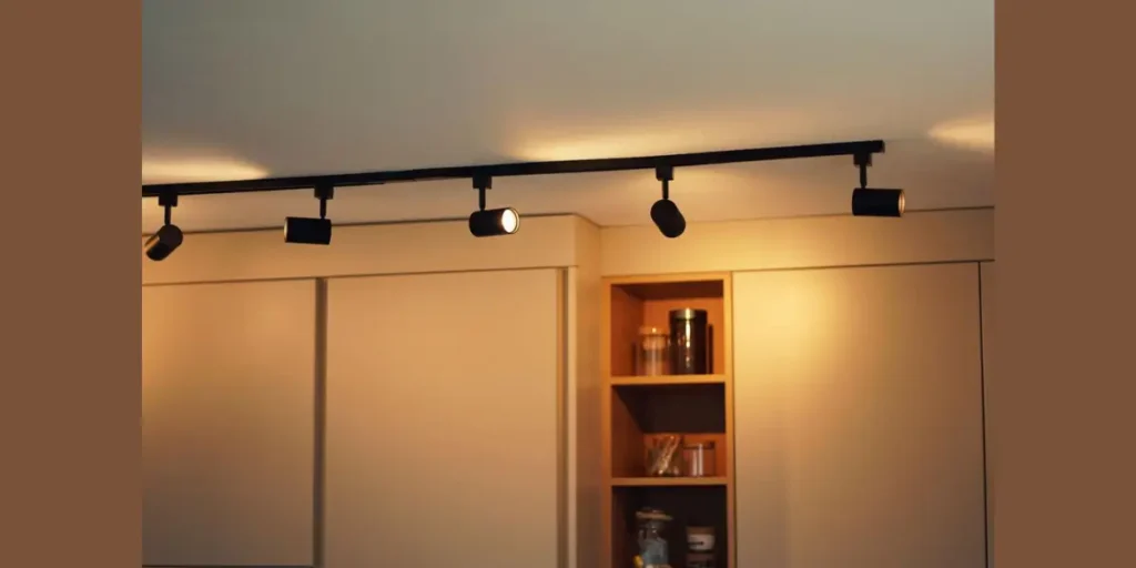 Track Lighting Fixtures