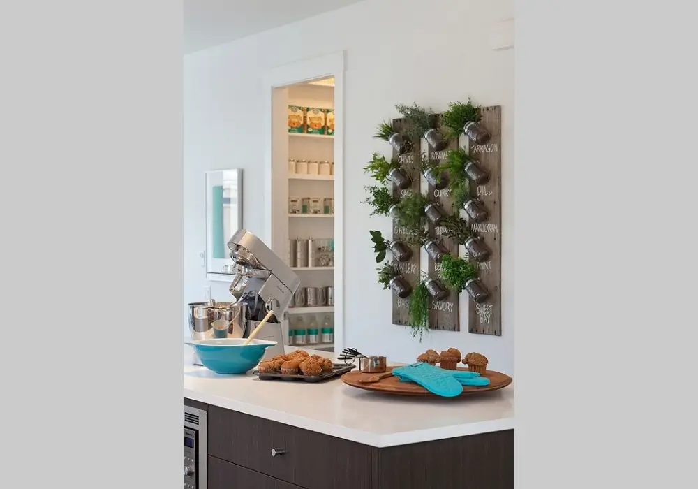 Wall Mounted Herb Garden