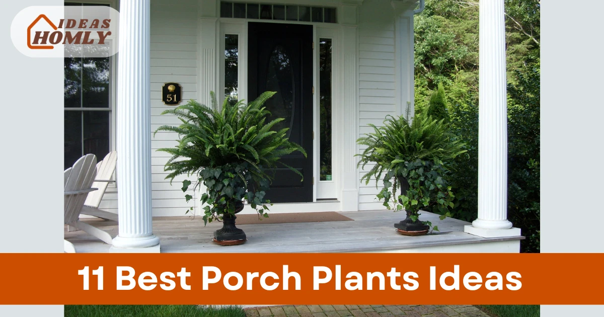 Porch Plants Ideas