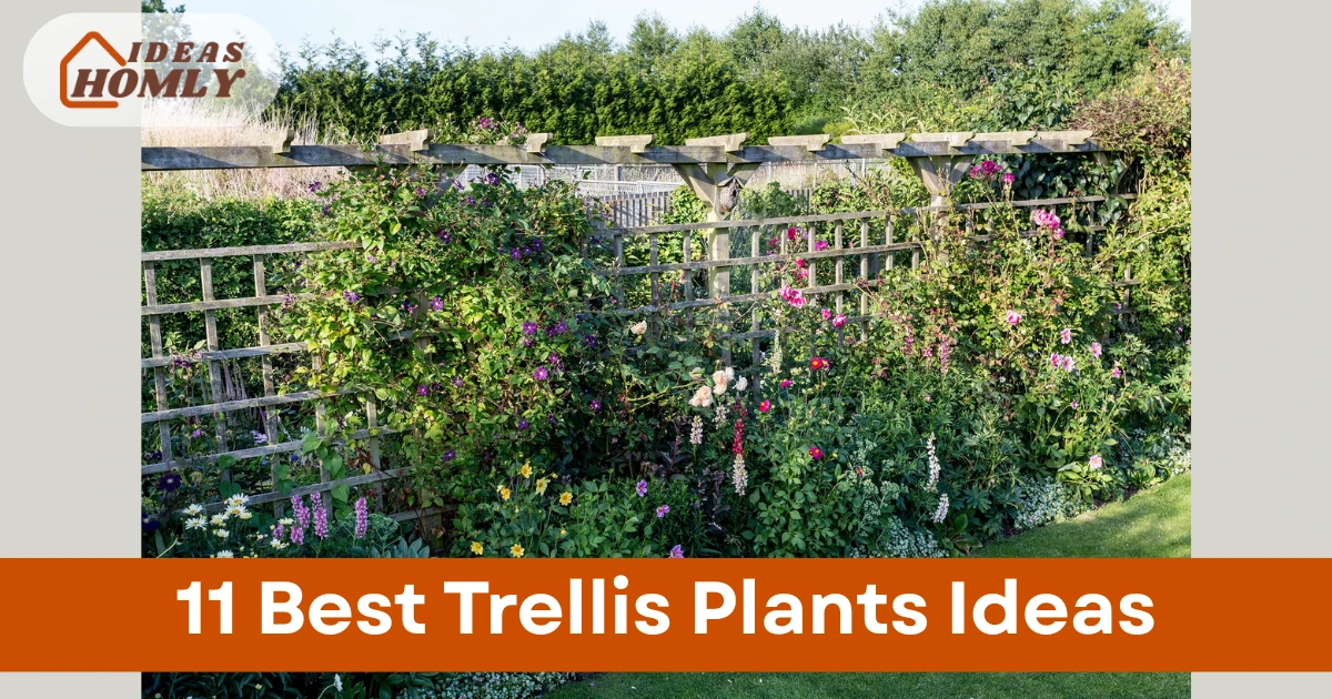 Trellis Plants Ideas