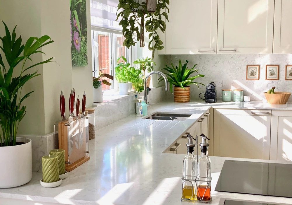Add Fresh Green Plants on Counters