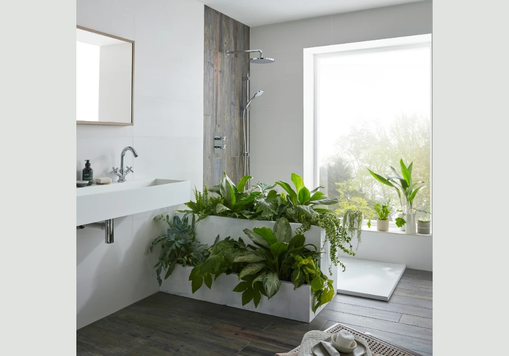 Add Indoor Plants for a Natural Summer Feel