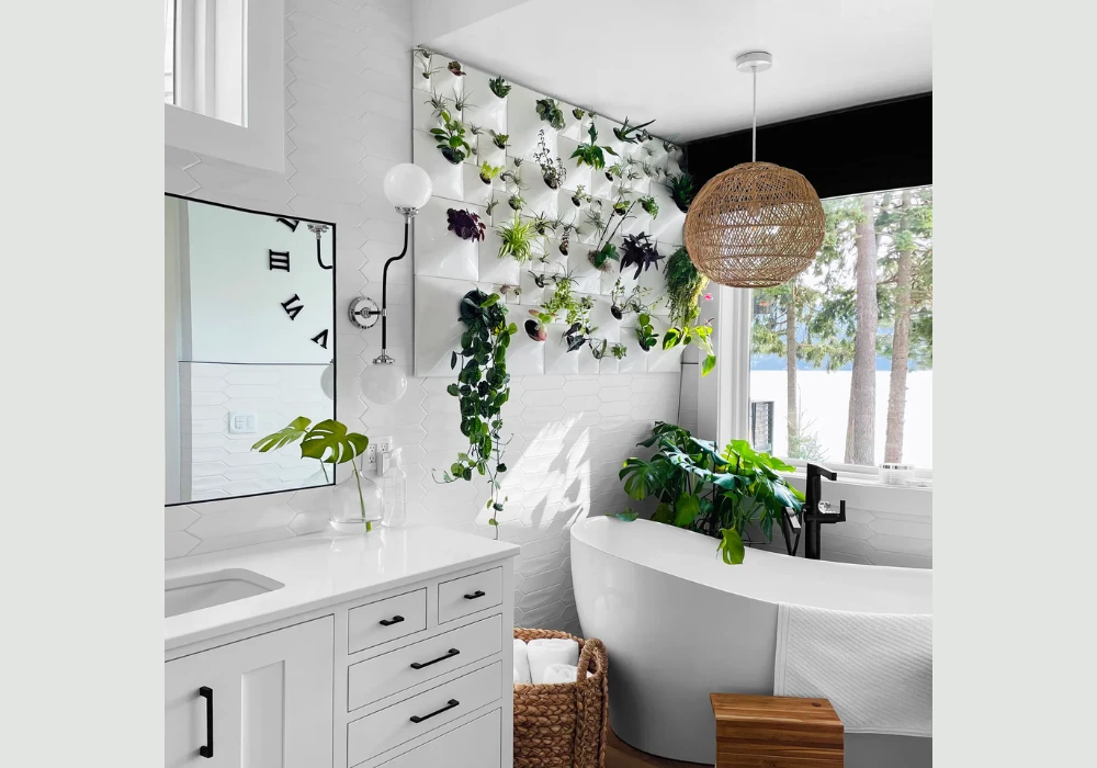 Air Plants for Easy Styling