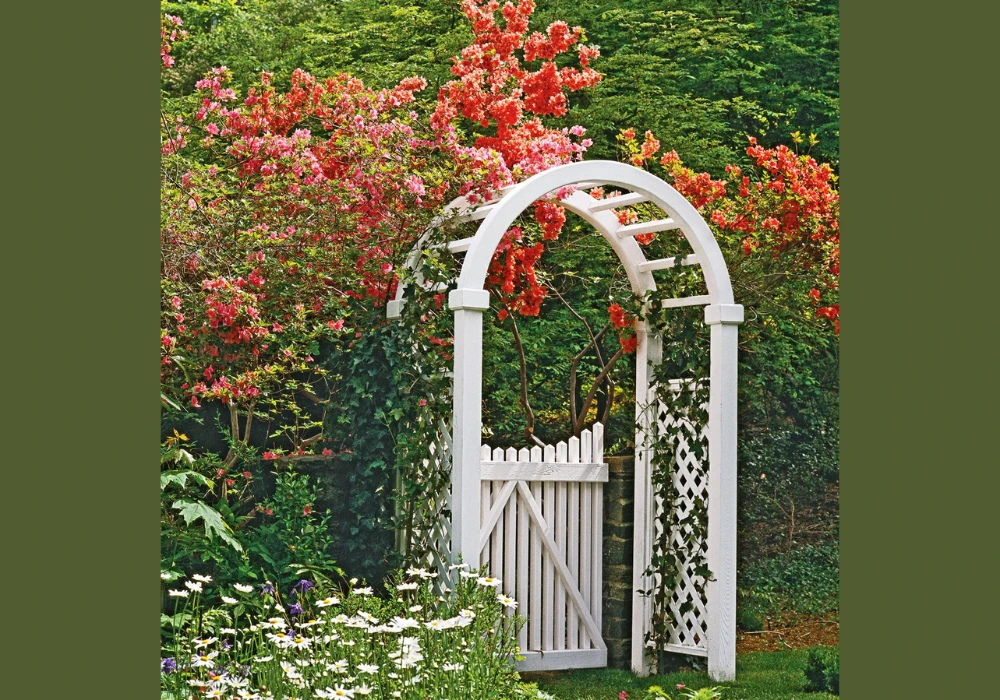 Arched Trellis Fence Ideas for Decorative Garden Entrances