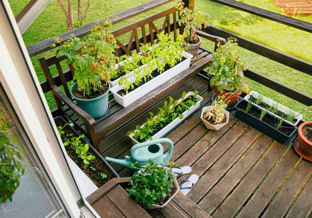 Balcony Container Vegetable Garden Ideas Using Pots and Grow Bags