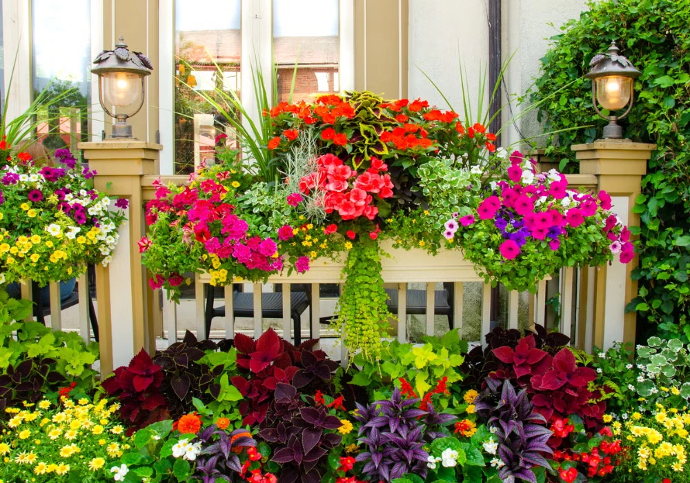 Balcony Green Garden with Potted Plants