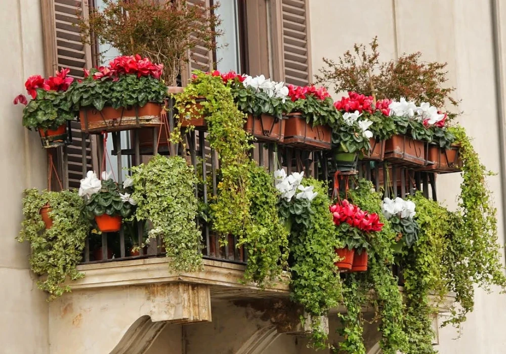 Balcony Hanging Rail + Floor Combo Flower Pot Setup Idea