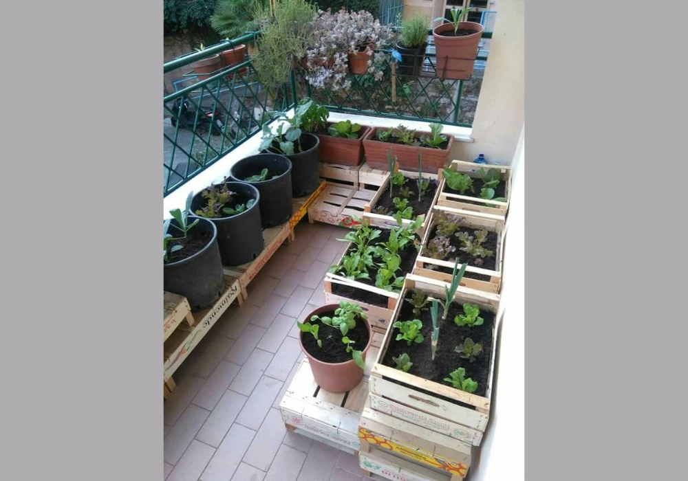 Balcony Vegetable Garden Composting Ideas