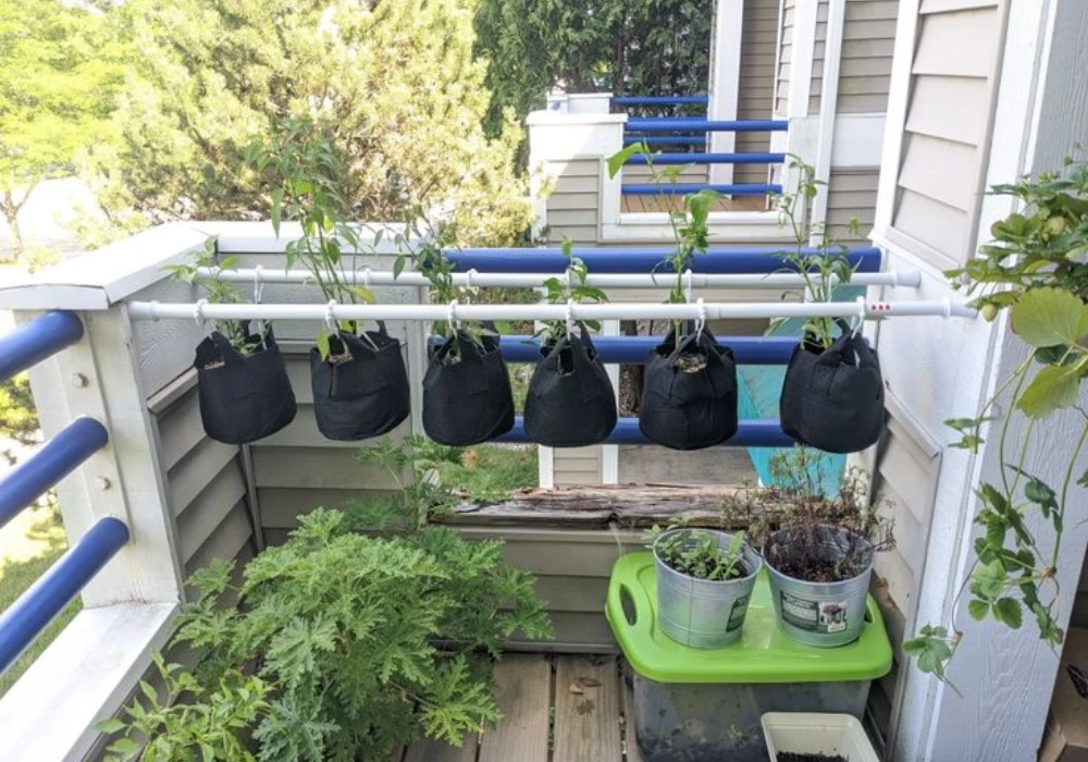Balcony Vegetable Garden Ideas with Grow Bags
