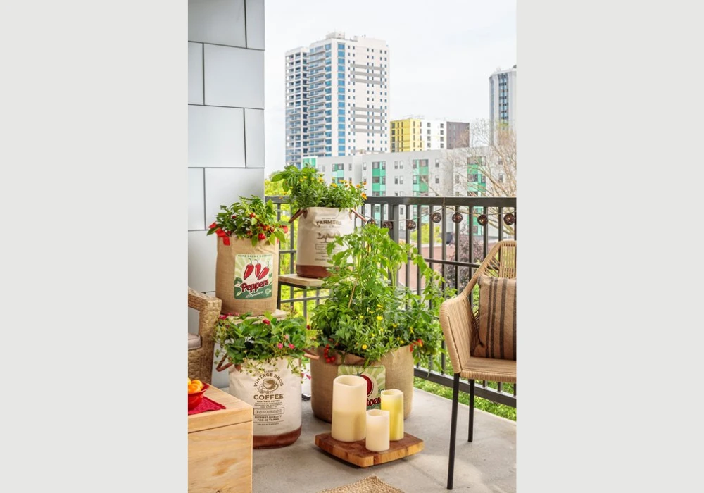 Balcony Vegetable Garden Soil Mix Ideas