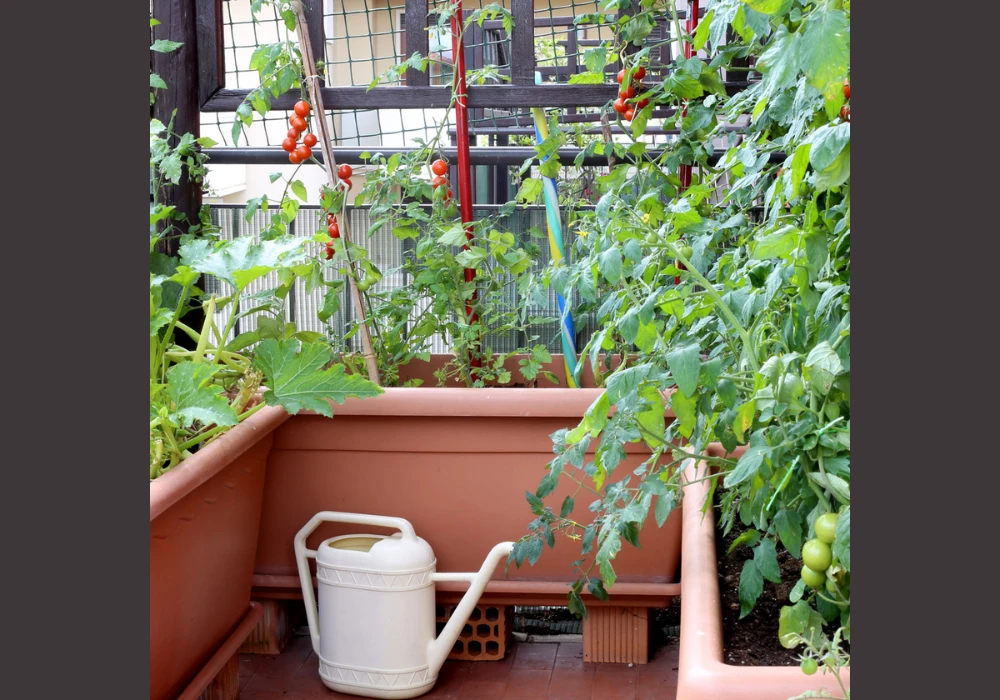 Balcony Vegetable Garden Watering Ideas
