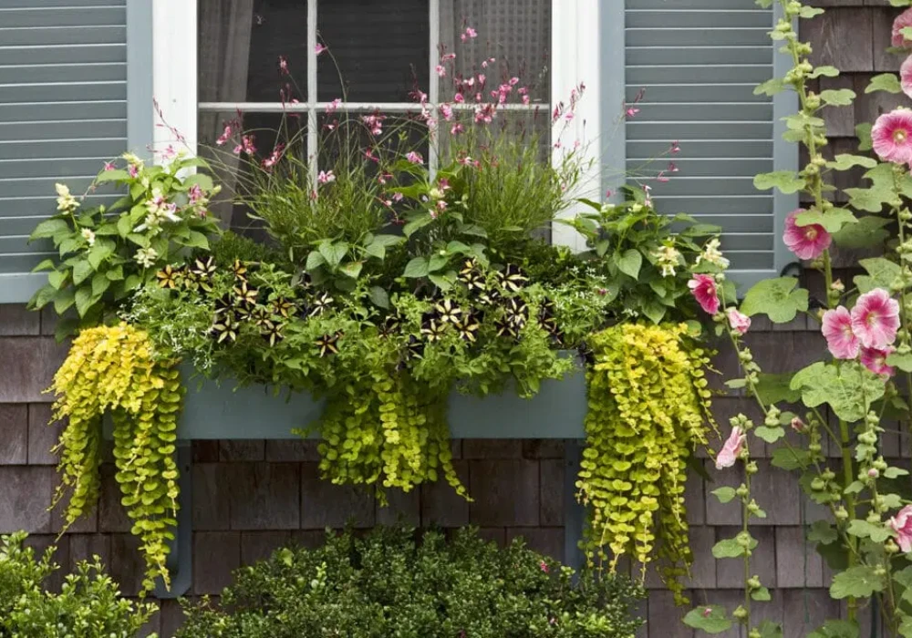 Balcony Window Sill Flower Pot Ideas for Small Space Gardening