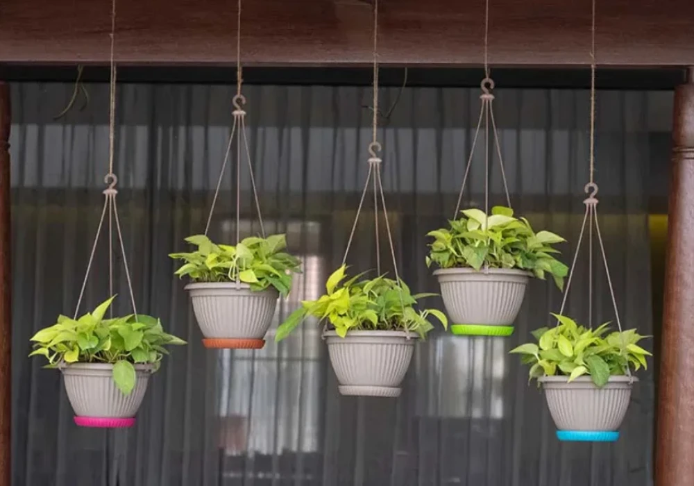 Ceiling Hanging Pots for a Clean Vertical Look