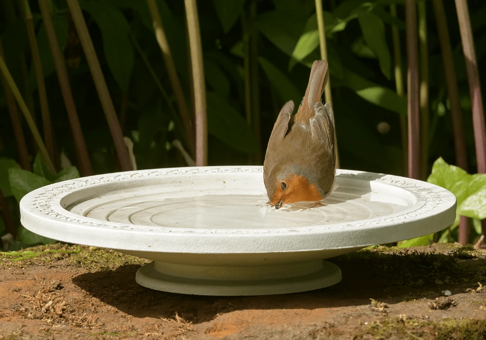 Clay Plate Ground Bird Bath