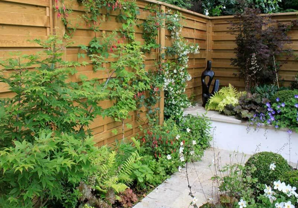 Climbing Plant Trellis Fence Ideas for Natural Green Privacy