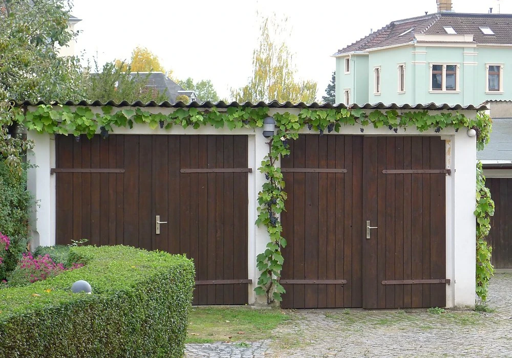 Climbing Plant Trellis Over Garage Door Ideas for Green Front View