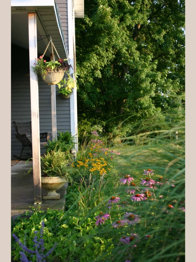 Colorful Hanging Flower Baskets