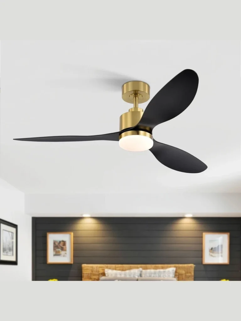 Colorful Vibrant Art Deco Fans