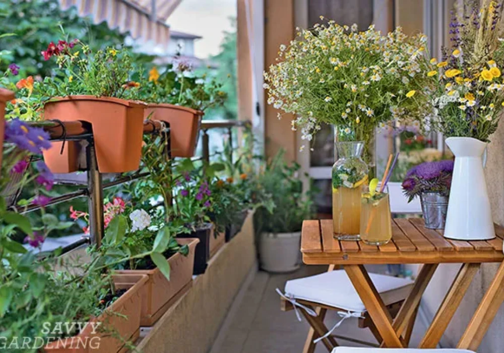 Container Gardening with Flexible Pots Setup in balcony